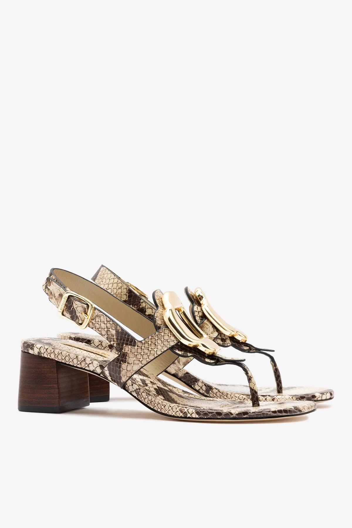 Margherita Block Thong Sandal Snake Leather - Image 3