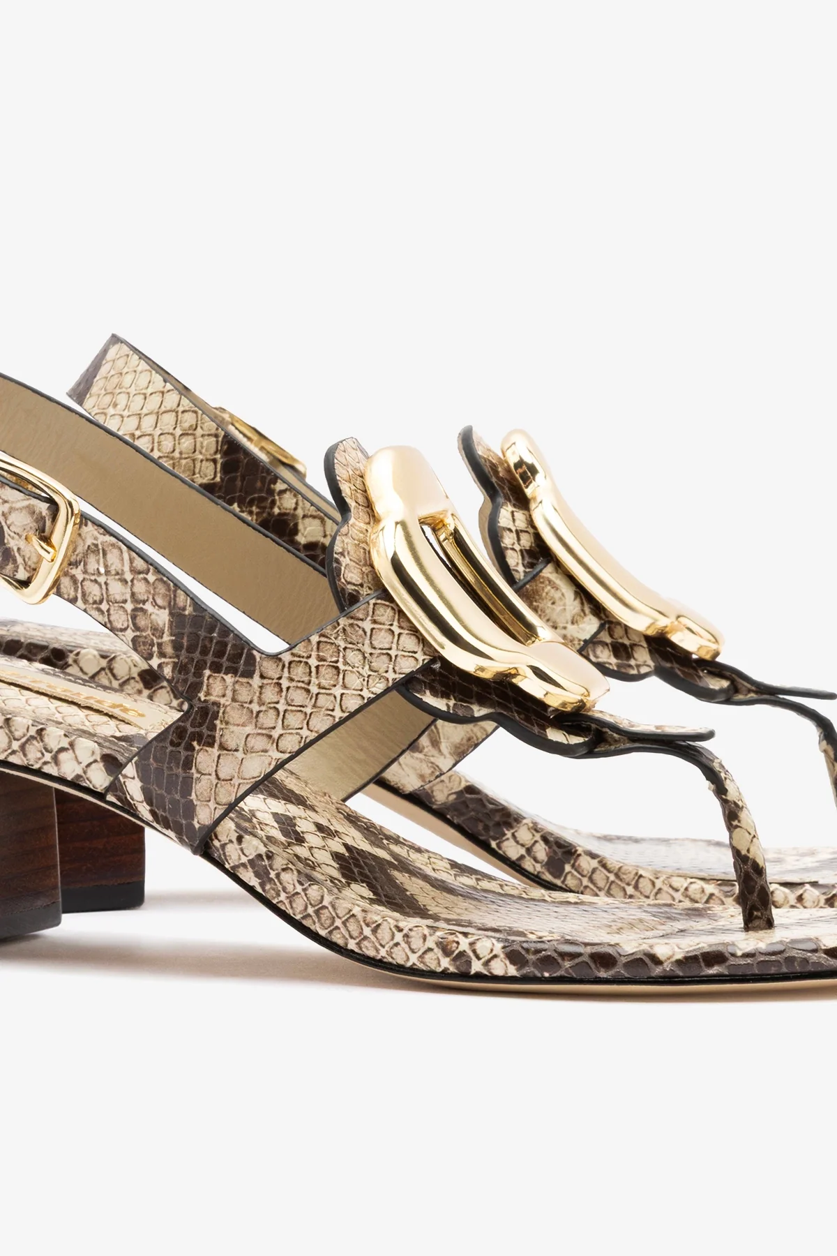 Margherita Block Thong Sandal Snake Leather - Image 4